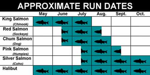 Fish Run Dates