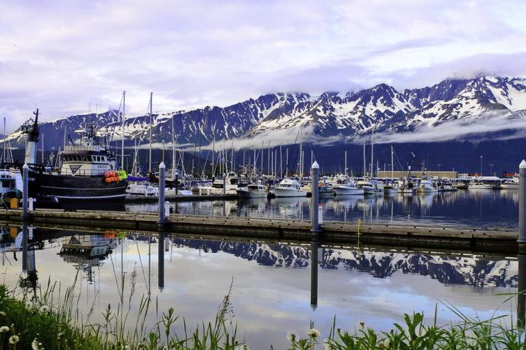 Petersburg Alaska - Best Places To Shop - Island Point Lodge